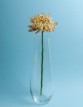 Sklenená číra váza s jemným, modoreným dizajnom od Bohemia Crystall Glass s kvetom