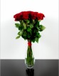 Tradičné ruže s dlhými stopkami červené